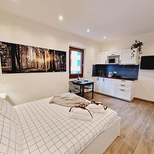 Appartement met een Slaapkamer